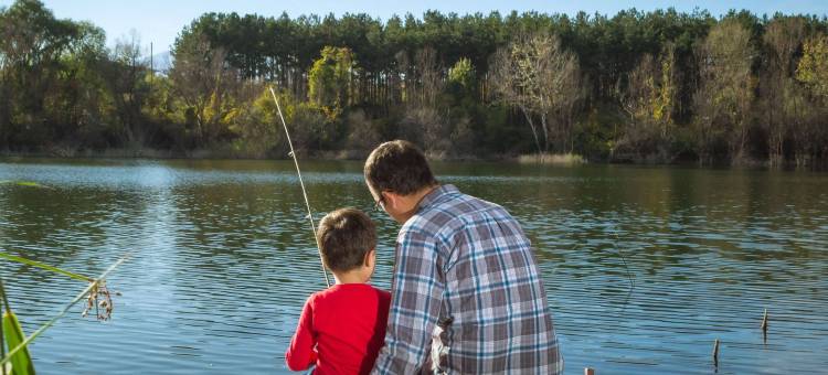 卓普泰恩小屋(Drop Tyne Lodge)图片