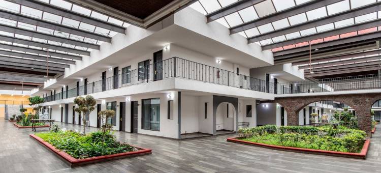 托卢卡丽笙酒店及会议中心(Radisson Hotel Convention Center Toluca)图片