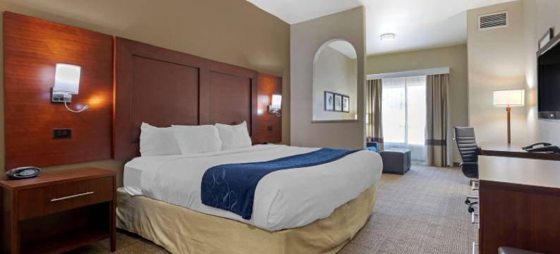 舒适套房酒店-盖恩斯维尔(Comfort Suites Gainesville)图片