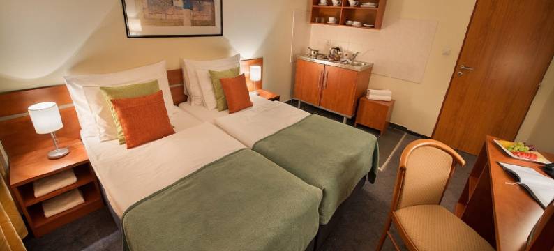 布拉格伊美公寓(Rezidence Emmy)图片