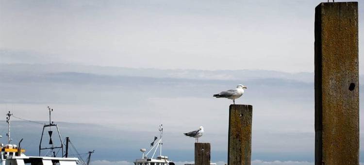 岩盐酒店(Rocksalt)图片