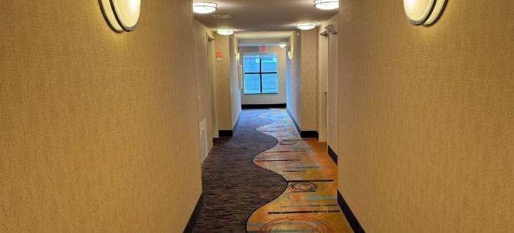 舒适套房酒店(Comfort Inn & Suites)图片