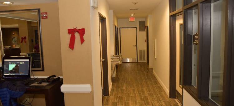 舒眠套房酒店(Sleep Inn & Suites)图片