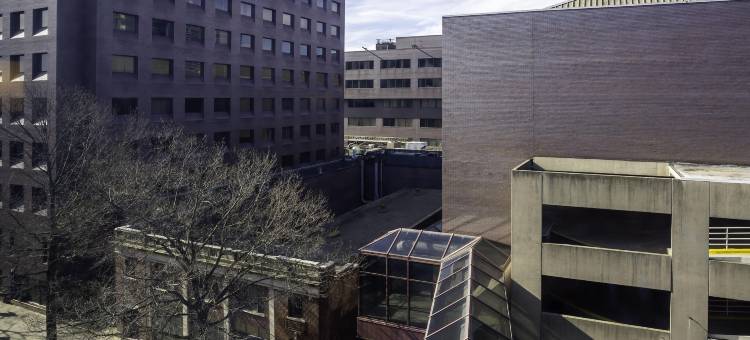 纽黑文酒店(New Haven Hotel)图片