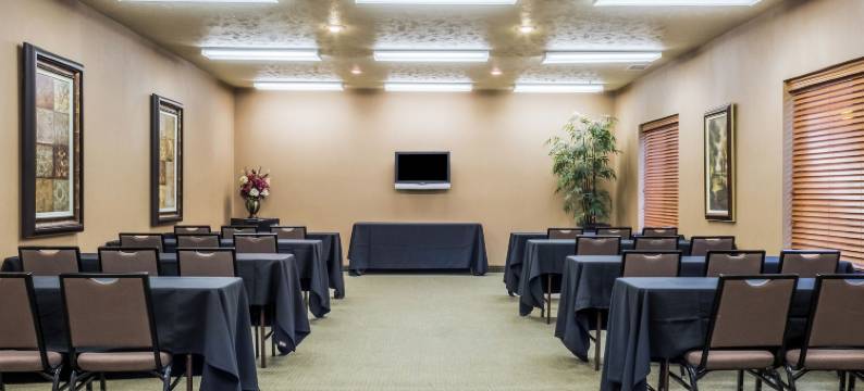 舒适酒店及套房米切尔I-90(Comfort Inn & Suites Mitchell I-90)图片