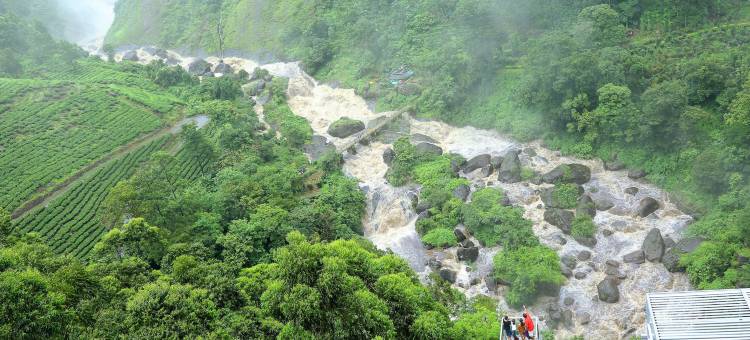 毯子水疗酒店(Blanket Hotel & Spa)图片