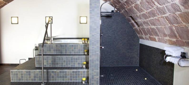 贝根扎伯纳城堡酒店(Schlosshotel Bergzaberner Hof)图片