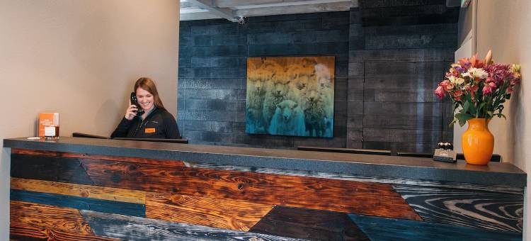 凯彻姆酒店(Hotel Ketchum)图片