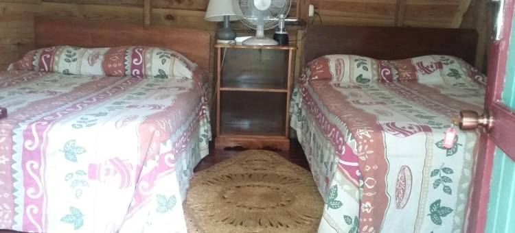 萤火虫海滩秘密小屋酒店(Secret Cabins at Firefly Beach)图片