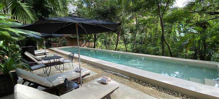 彼德拉阿瓜帕伦克酒店(Piedra de Agua Palenque)图片