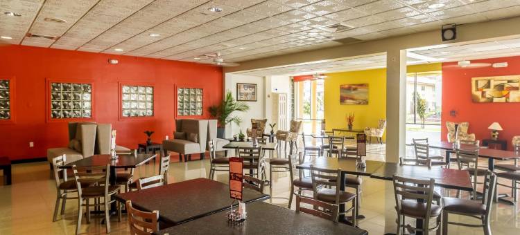 迈克艾伦机场附近凯隆酒店(Clarion Inn Near McAllen Airport)图片