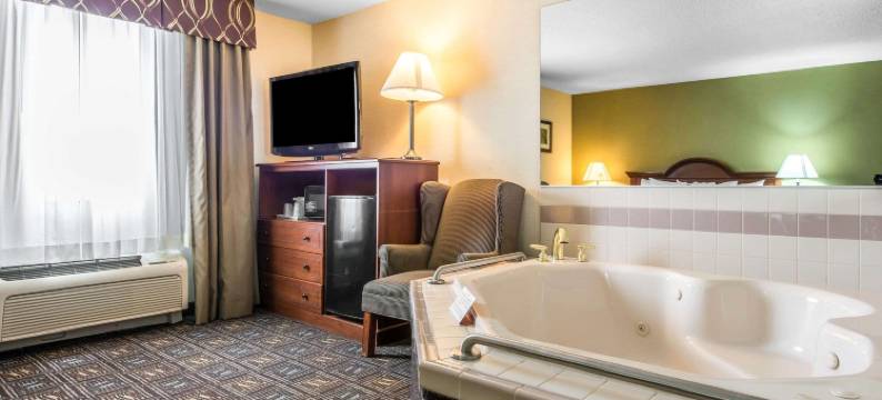 韦尔顿舒适酒店(Comfort Inn)图片