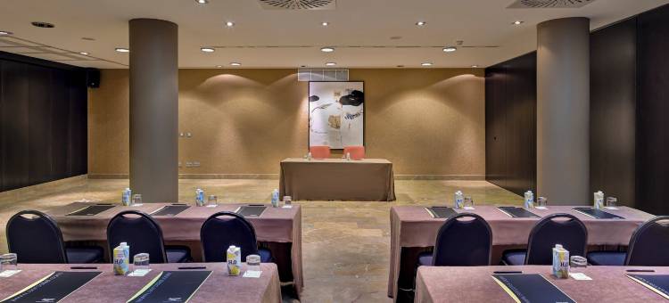 Sercotel大教堂门酒店(Sercotel Puerta de la Catedral)图片