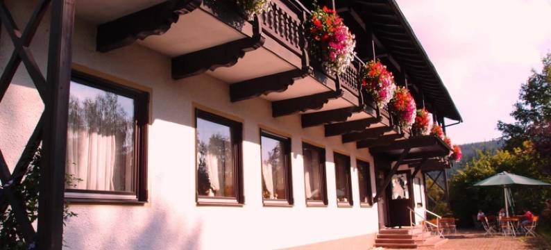 巴伐利亚森林酒店(Landhotel Bayerwald)图片