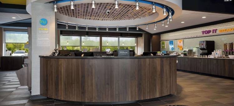 诺维底特律希尔顿特鲁酒店(Tru by Hilton Novi Detroit)图片