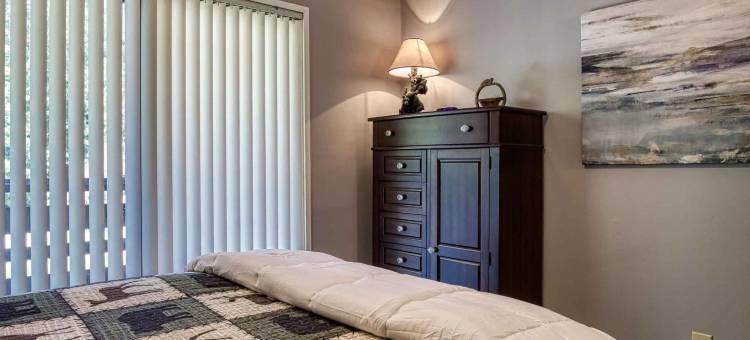 新装修的五星级公寓泳池美景(1023 English Mtn Condo by Beyond Expectations)图片