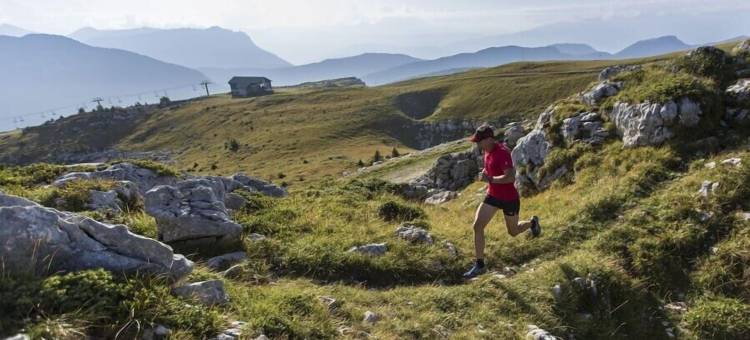 拉格朗日(La Grange)图片