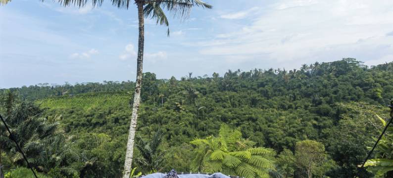 GenuineHost景观山谷别墅(The Scape Valley Villas by GenuineHost)图片