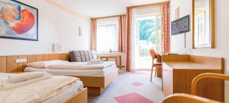 拉布斯安德尔塔亚市酒店(Stadthotel Raabs an der Thaya)图片