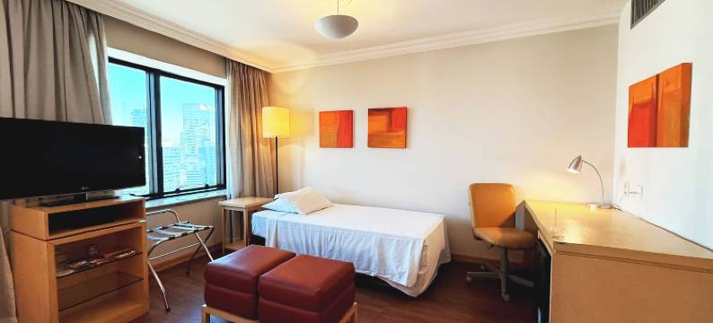 蓝树维波迪维努甄选酒店(Blue Tree Premium Morumbi)图片