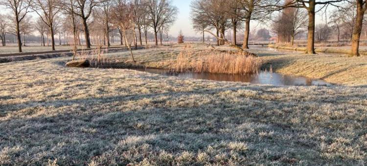 Bedafse Bergen的有露台的平房(Bungalow with a Terrace at Bedafse Bergen)图片