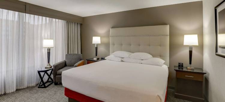 哥伦布都柏林德鲁里套房酒店(Drury Inn & Suites Columbus Dublin)图片