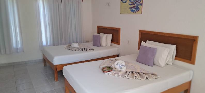 昆塔帕拉伊索可可约克酒店(Hotel Quinta Paraiso)图片