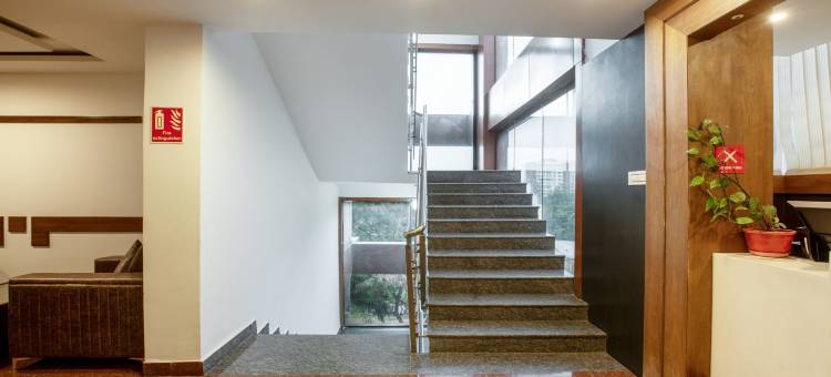 Treebo 新加点(Treebo New Plus Point)图片