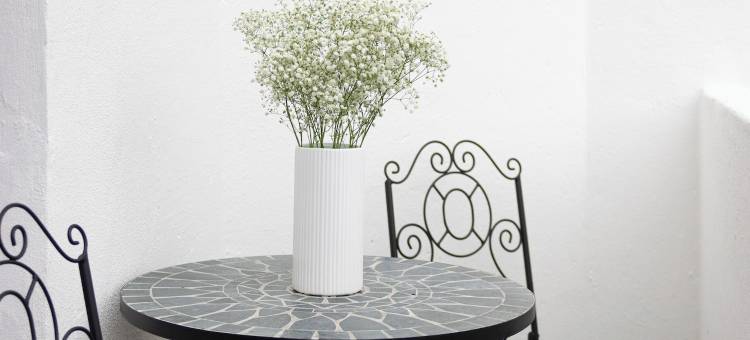 维拉酒店(The Villa)图片