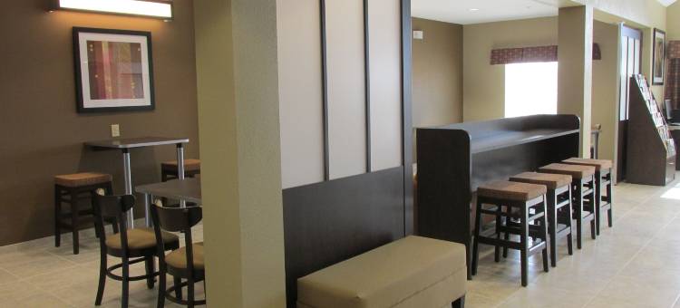 米德兰麦客达套房酒店(Microtel Inn & Suites by Wyndham Midland)图片