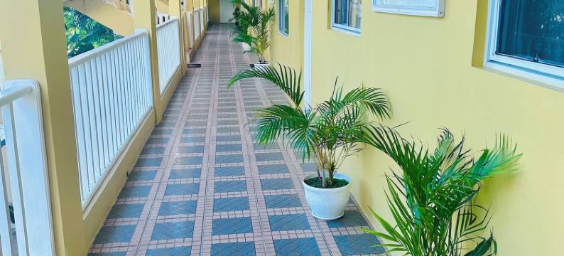 春季棕榈庄园(Spring Palm Estate)图片