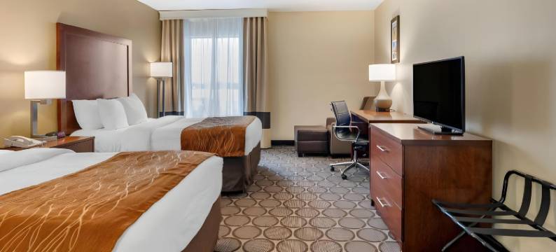 机场特佛维路舒适酒店(Comfort Inn Airport Turfway Road)图片