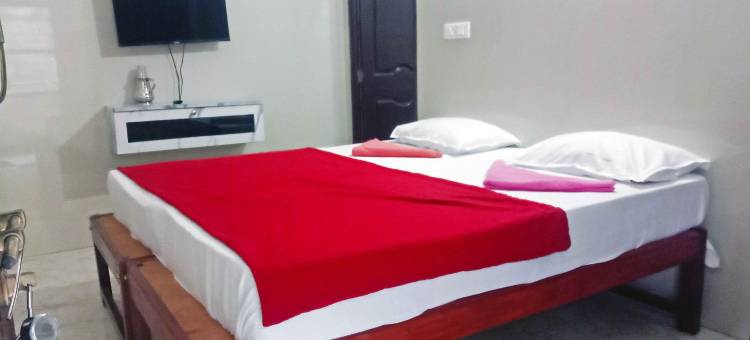 Narayani Guest House图片