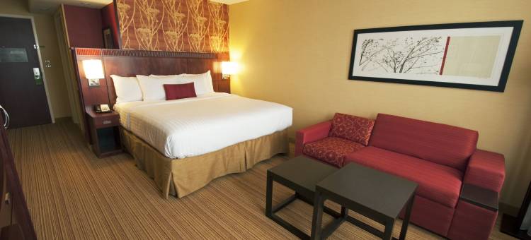 芝加哥阿灵顿高地南部万怡酒店(Courtyard Chicago Arlington Heights/South)图片