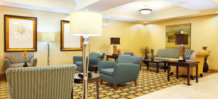 智选假日套房酒店芝加哥南兰辛(Holiday Inn Express & Suites Chicago South Lansing)图片