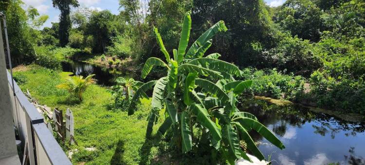 理想行政套房(Ideal Executive Suites)图片