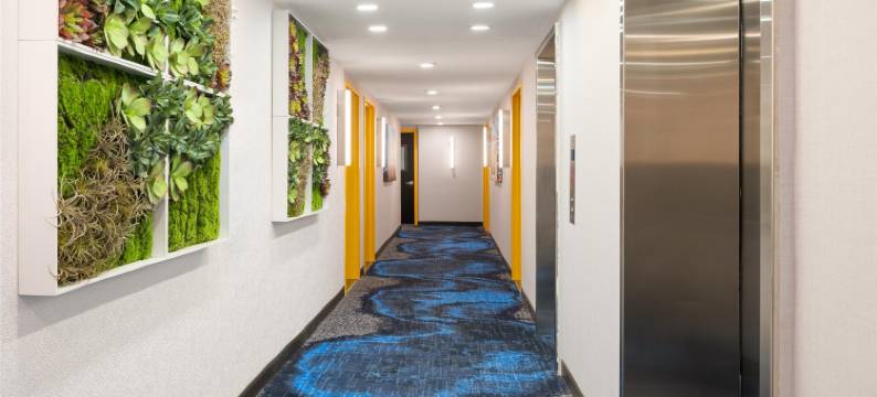 纽约布朗克斯贝斯特韦斯特格洛酒店(GLō Best Western Bronx NYC)图片