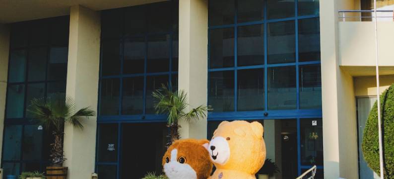 太阳宫酒店 - 全包式(Sun Palace Hotel - All Inclusive)图片