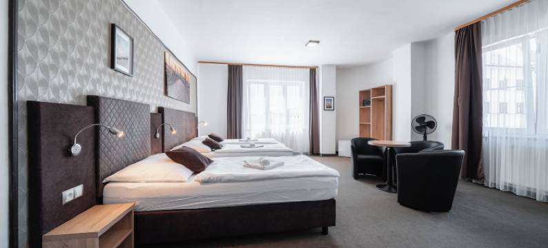 霍默斯拉尼旅馆(Penzion Homér Slaný)图片