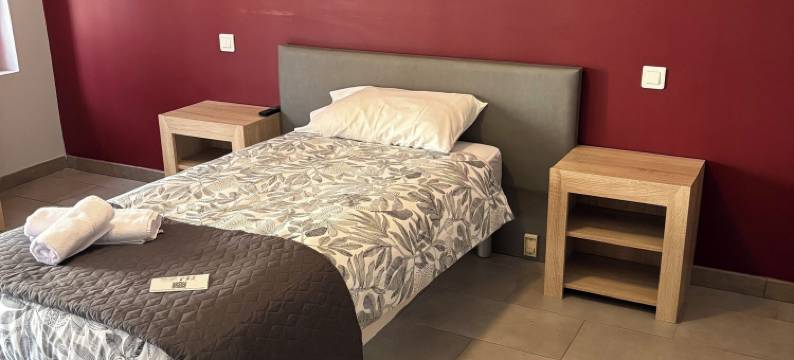 老桥酒店(Hôtel du Vieux Pont)图片