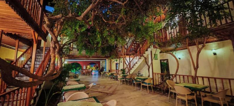 达利安康纳苏酒店(Hotel Konak Su)图片