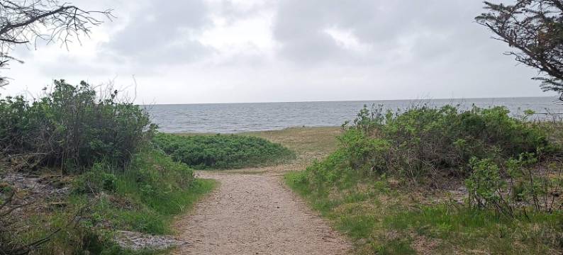 2 person holiday home in Tarm-By Traum图片