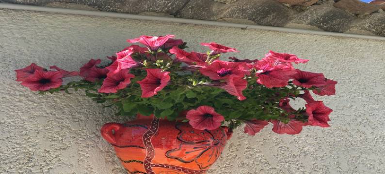 Tranquil Villa with Pool图片