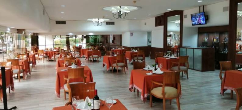 Holiday Inn 莫雷利亚(Holiday Inn MORELIA by IHG)图片