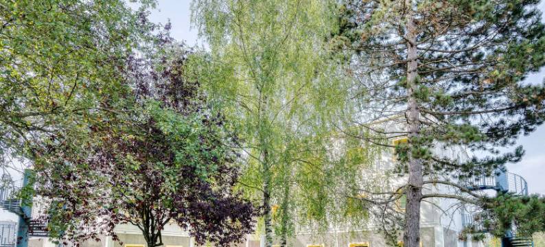 凡尔赛宫特拉普宜必思快捷酒店(Ibis Budget Versailles - Trappes)图片