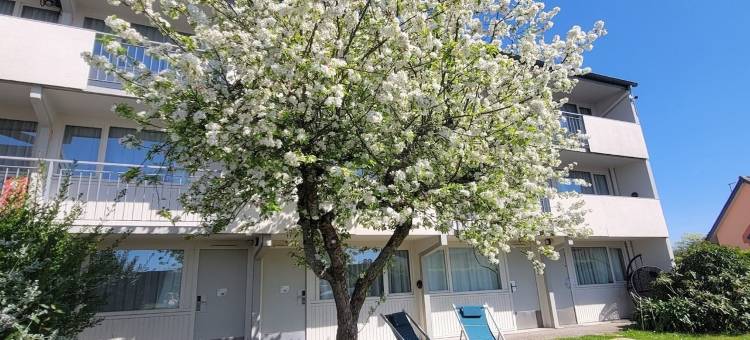 坎佩尔南布里特酒店(Brit Hotel Quimper Sud)图片