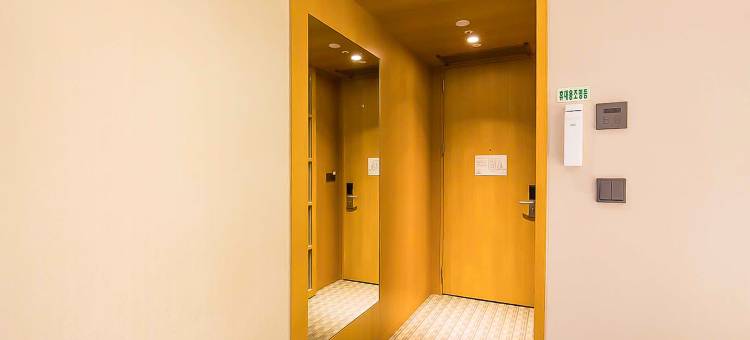 首尔东大门相铁喜普乐吉酒店(SOTETSU HOTELS THE SPLAISIR SEOUL DONGDAEMUN)图片