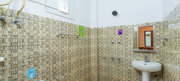 Zostel 卡索尔(Zostel Kasol)图片