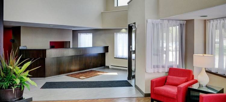 西埃德蒙顿舒适酒店(Comfort Inn West)图片