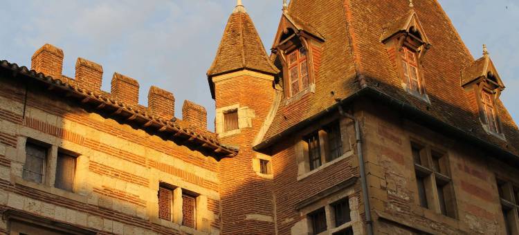 阿让中心美居酒店(Mercure Agen Centre)图片